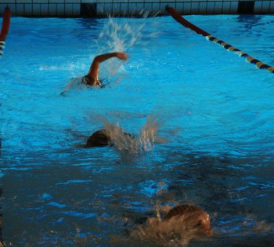 3 Schwimmer auf einer Bahn mit Leinen abgetrennt